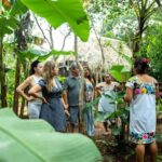 Valladolid: Mayan Cooking Class with 5 Dishes - The Itinerary: What to Expect