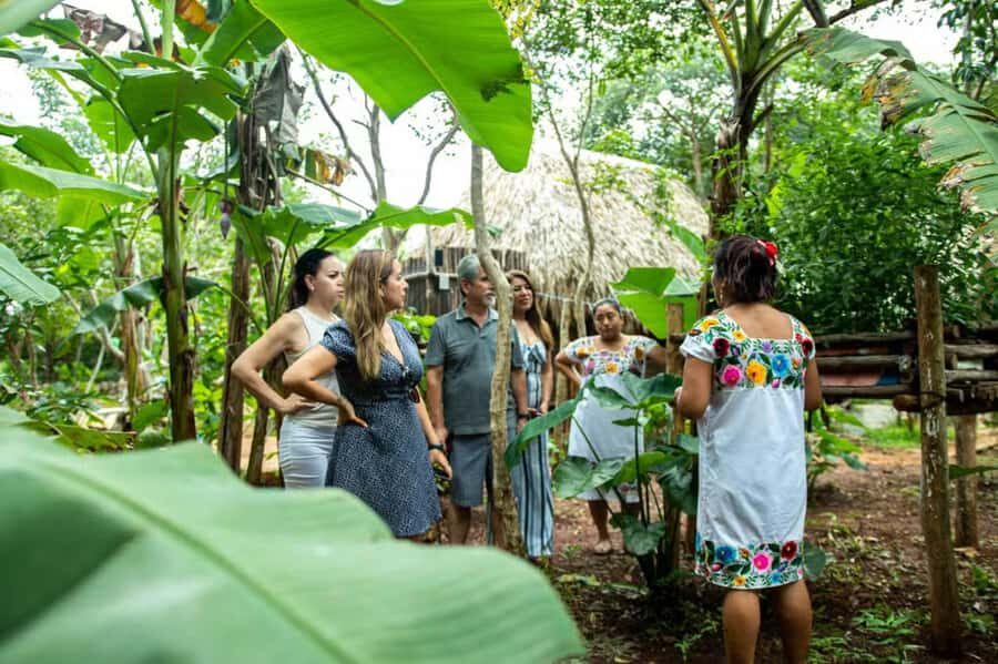 Valladolid: Mayan Cooking Class with 5 Dishes - The Itinerary: What to Expect