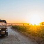 Valle de Guadalupe: Wine Tasting and Wagon Tour - Exploring the Valle de Guadalupe: A Deep Dive