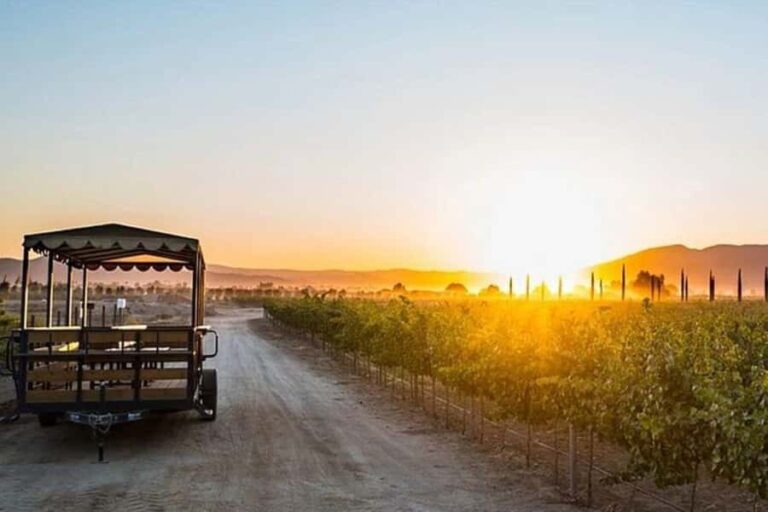 Valle de Guadalupe: Wine Tasting and Wagon Tour - Exploring the Valle de Guadalupe: A Deep Dive