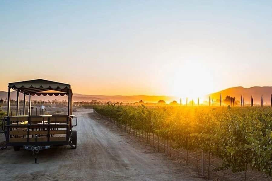Valle de Guadalupe: Wine Tasting and Wagon Tour - Exploring the Valle de Guadalupe: A Deep Dive