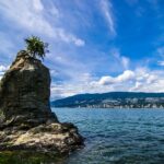 Vancouver Aquarium Entry & Digital Stanley Park Walk - An In-Depth Look at the Tour Experience