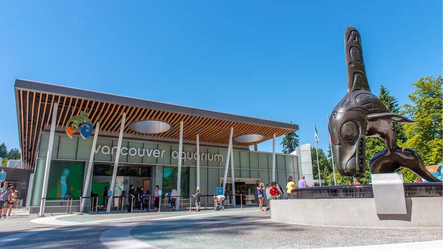Vancouver Aquarium: Skip-the-Line Ticket - Authentic Perspectives from Visitors