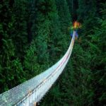 Vancouver: Capilano Bridge & Granville Island Highlights - Authentic Experiences from the Reviews