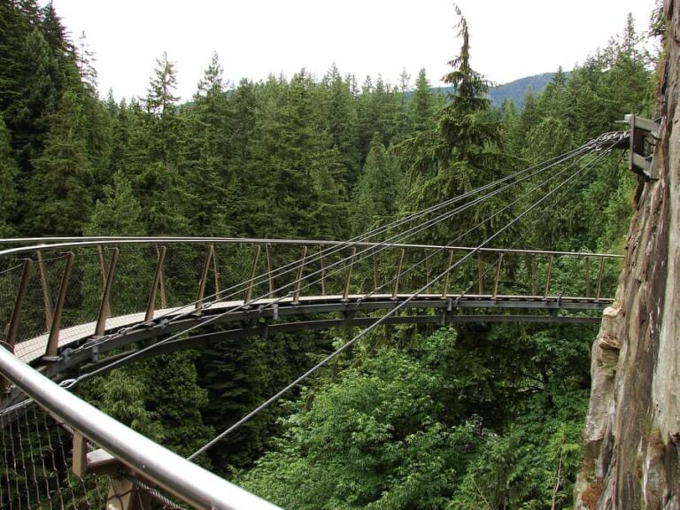 Vancouver: Capilano Bridge, Grouse Mountain & Aquabus Tour - A Detailed Look at Your Vancouver Day Trip