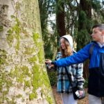 Vancouver Gastown Discovery: Private Family Walking Tour - A Detailed Look at the Vancouver Gastown Discovery Tour