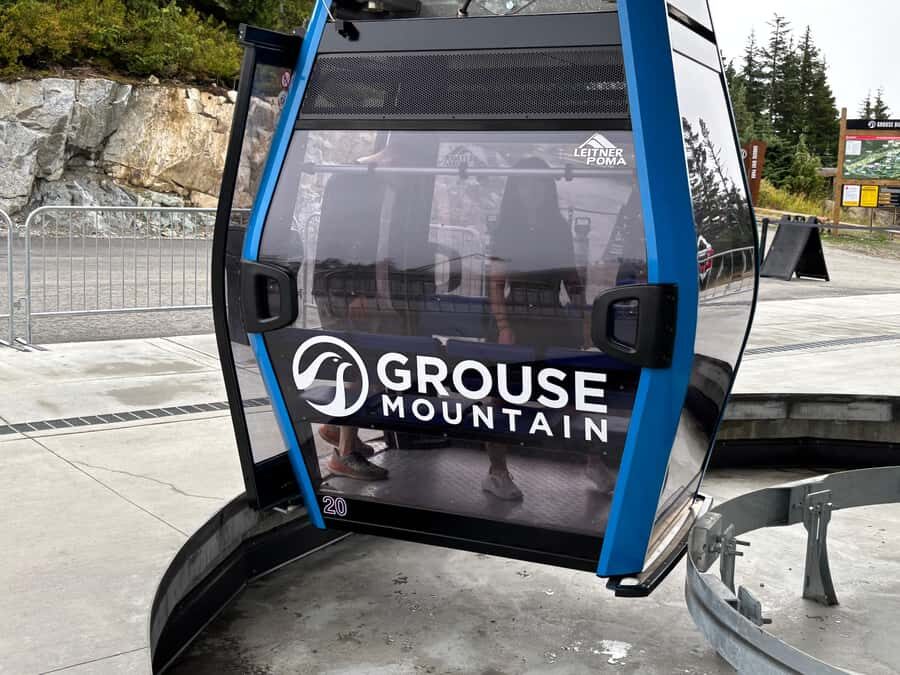 Vancouver Grouse Mountain & Granville Island Tour - A Detailed Look at What to Expect
