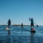 Vancouver Island: Marine Ecological Tour with Mer Tales - An In-Depth Look at the Vancouver Island Marine Ecological Tour