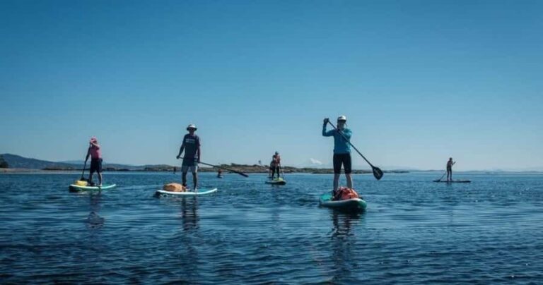 Vancouver Island: Marine Ecological Tour with Mer Tales - An In-Depth Look at the Vancouver Island Marine Ecological Tour
