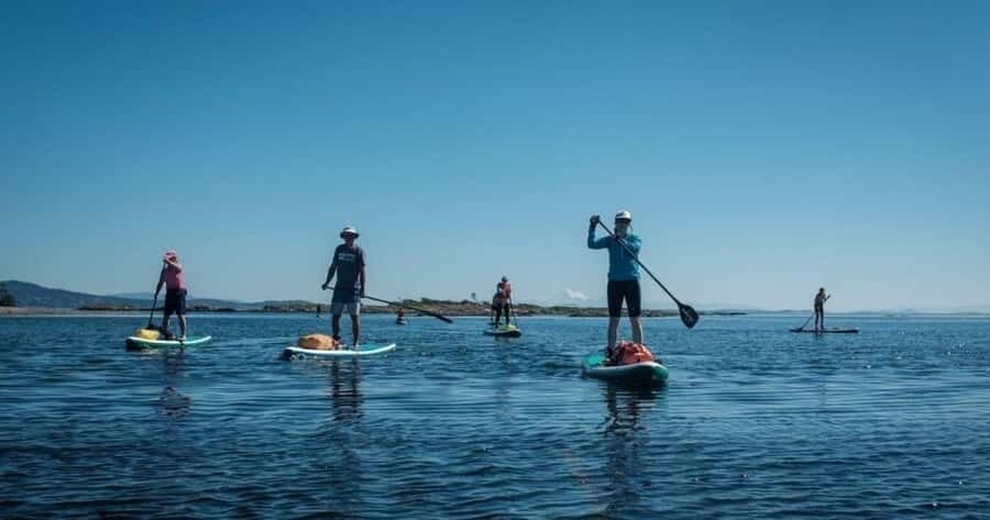 Vancouver Island: Marine Ecological Tour with Mer Tales - An In-Depth Look at the Vancouver Island Marine Ecological Tour