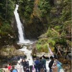 Vancouver: Lunch and Brunch Cruises - The Itinerary: A scenic water adventure with food and wildlife