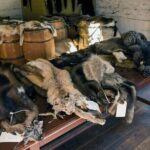 Vancouver: Private Fort Langley and Fraser Valley Day Trip - Final Thoughts: Who Will Love This Tour?