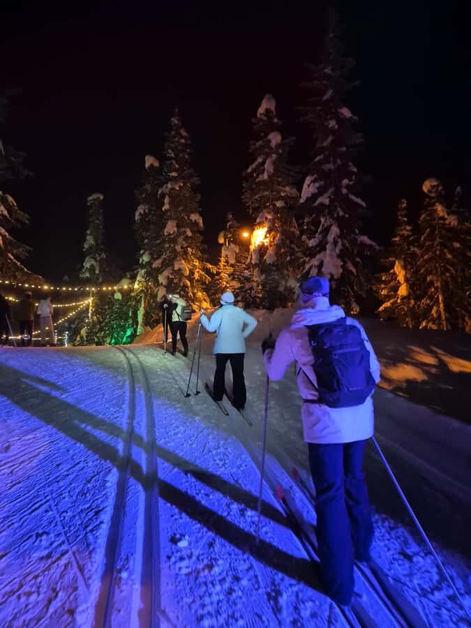 Vancouver: Whistler Olympic Park Evening Snowshoeing/Skiing - What Makes This Tour Special?