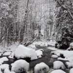 Vancouver:Guided Snowshoe Adventure in North Shore Mountains - The Experience Provider and Booking Details