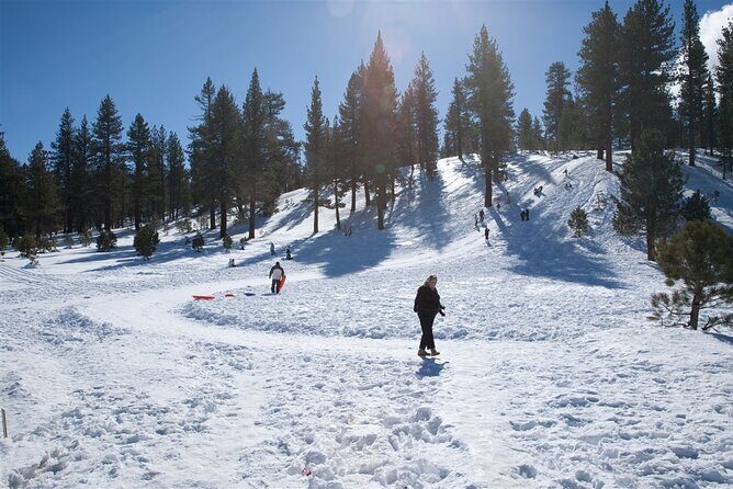 Vegas Winter Adventure: Mt. Charleston Snow Day - Analyzing the Value and Practicality