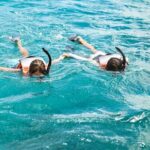 Venture Wildlife Snorkel Charter from Ko Olina - Detailed Breakdown of the Itinerary