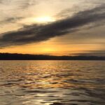 Victoria, BC: Sunset Whale Watching Tour - Who Will Love This Tour?
