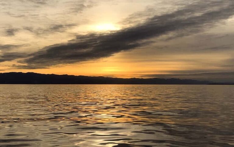 Victoria, BC: Sunset Whale Watching Tour - Who Will Love This Tour?