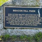 Victoria City Highlights: Chinatown, Craigdarroch Castle (1-4pax) - Who Should Consider This Tour?