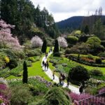 Victoria Day Trip with BC Ferries, Butchart Gardens & Downtown - Price and Value