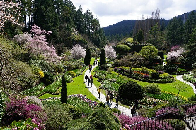 Victoria Day Trip with BC Ferries, Butchart Gardens & Downtown - Price and Value