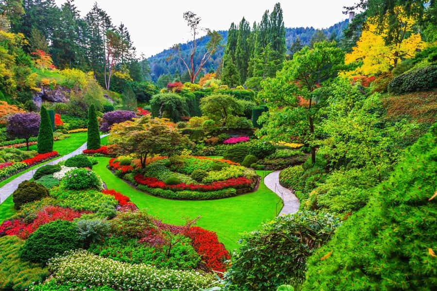 Victoria: Driving Tour w/ Malahat Skywalk & Butchart Gardens - Who Will Love This Tour?