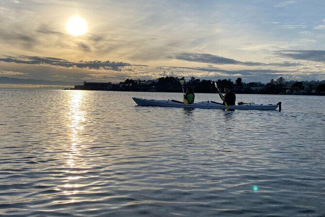 Victoria Harbour Sunset Kayak Tour - Who Will Love This Experience?