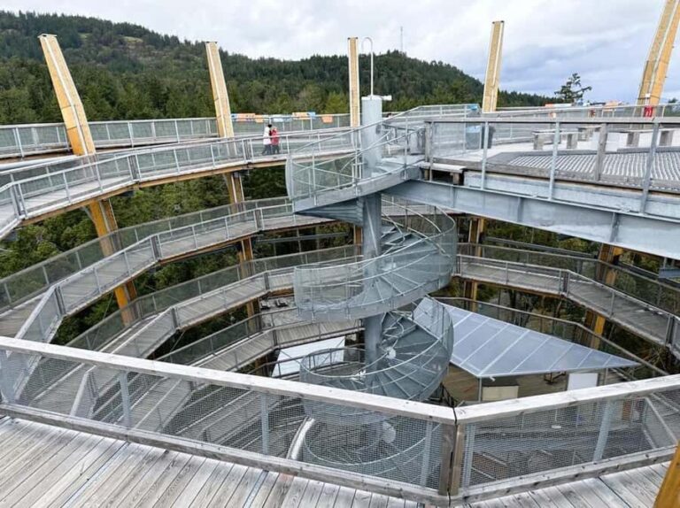 Victoria: Malahat SkyWalk, Castle, and Wharf Tour - Practical Tips for Your Tour