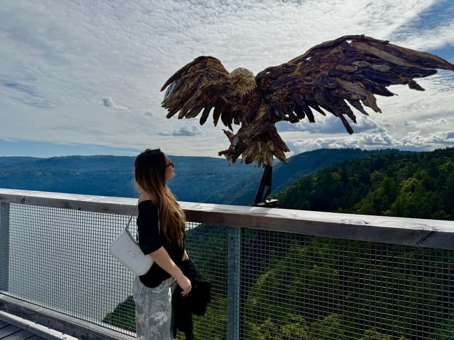 Victoria: Malahat Skywalk & Iconic Landmark Tour - The Highlight Stops: Victoria’s Iconic Landmarks