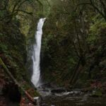 Victoria; Peninsula Butchart Garden, Aquarium and Rainforest - A Full Breakdown of What to Expect