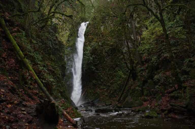 Victoria; Peninsula Butchart Garden, Aquarium and Rainforest - A Full Breakdown of What to Expect