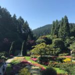 Victoria Private Tour Visiting the City and Butchart Gardens - In-Depth Look: What to Expect on This Private Tour