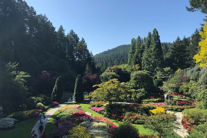 Victoria Private Tour Visiting the City and Butchart Gardens - In-Depth Look: What to Expect on This Private Tour