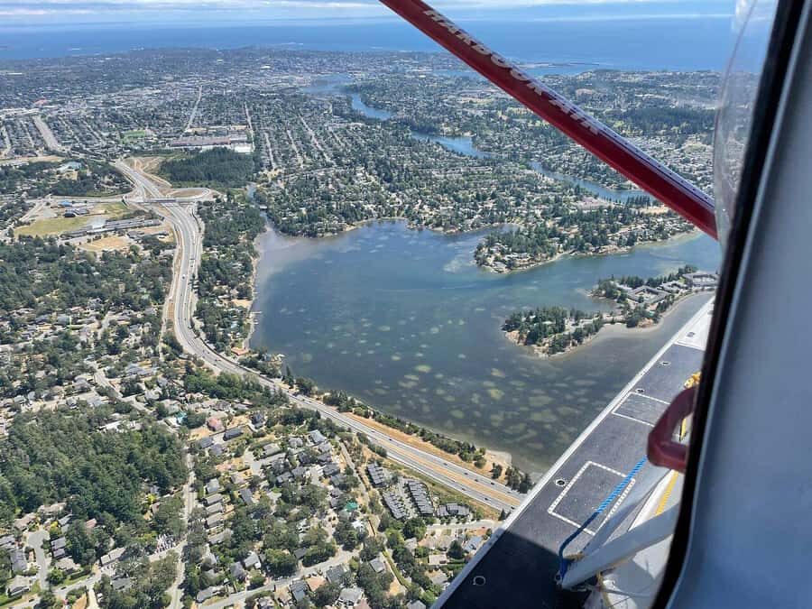 Victoria: Scenic Panorama Seaplane Tour - Who Will Love This Tour?