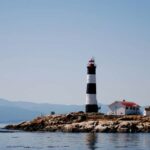 Victoria: Whale Watching Marine Wildlife Excursion Zodiac - Why This Tour Offers Great Value