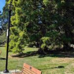 Victorias Historic Heights: An Audio Tour Through Beacon Hill - Practical Details and What to Expect