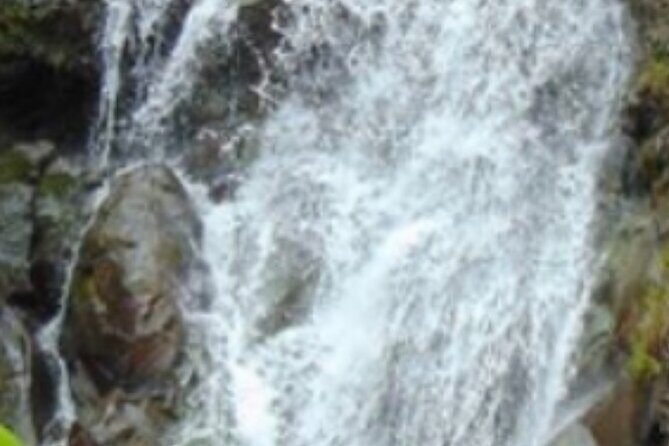 VIP Waimea Falls and Hiking Tour with Limousine Transport - Who Should Consider This Tour?