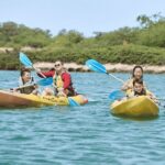 Wai Kai Ultimate - A Detailed Look at the Wai Kai Ultimate Experience