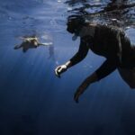 Waikiki: Turtle Canyon Snorkel Tour - 6 passengers max - Why Choose This Tour?