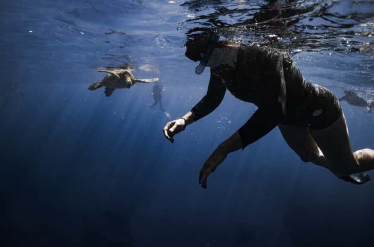 Waikiki: Turtle Canyon Snorkel Tour - 6 passengers max - Why Choose This Tour?