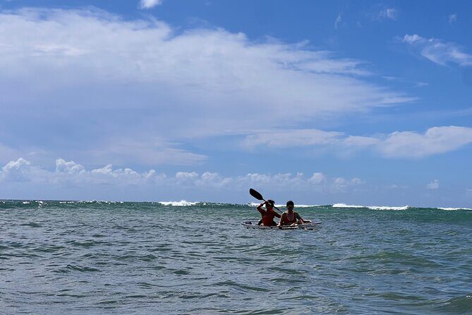 Waikk Fireworks Night Paddle  Clear Kayak Tour (Fridays Only) - An In-Depth Look at the Waikiki Fireworks Night Paddle