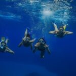 Wailea Wildlife Tour with Snorkeling - Who Will Love This Tour?
