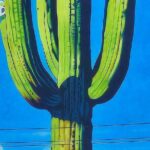 Walking Historical Tucson Tour - Who Should Book This Tour?