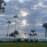 Walking Tour of California Adventure - Who Will Enjoy This Tour?