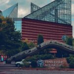 Walking Tour of Chattanooga - What Makes This Tour Stand Out?