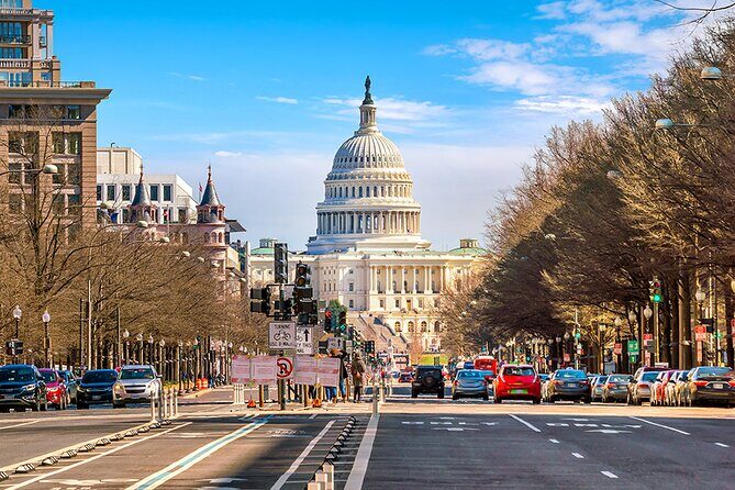 Washington D.C. Tour from New York - Practical Details and What You Gain