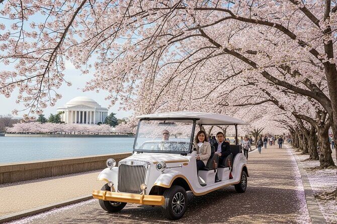Washington DC Monument's Cherry Blossom Guided E-Cart Tour - The Practicalities