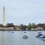 Washington DC: Tidal Basin Pedal Boat Rental - Practical Details: Logistics and Tips