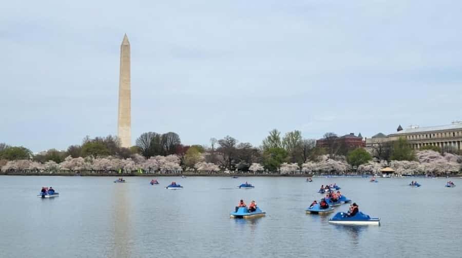 Washington DC: Tidal Basin Pedal Boat Rental - Practical Details: Logistics and Tips