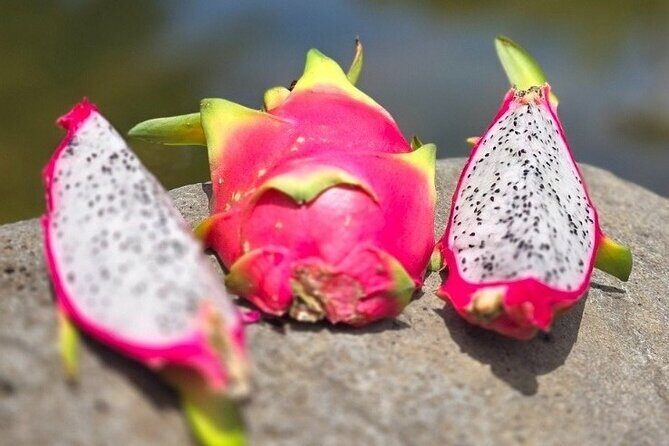 Waterfall Adventure on Big Island - Final Thoughts: Is the Waterfall Adventure Worth It?